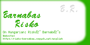 barnabas risko business card